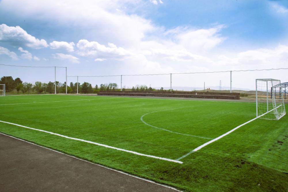 دانشگاه مراغه